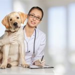 Veterinarian with dog