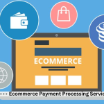 Choose the Best Payment Processor for Your E-Commerce Store