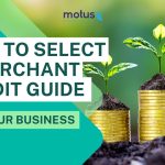 how-to-select-a-merchant-credit-guide-