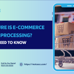 How Secure Is E-commerce Payment Processing? What You Need to Know