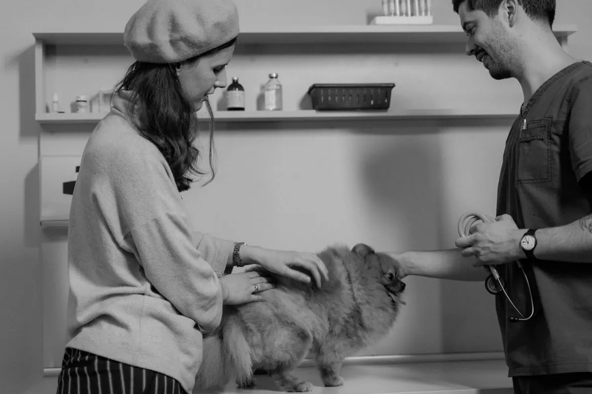 Vet and pet owner during a clinic visit